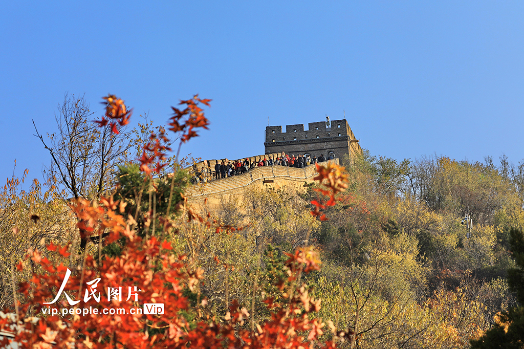 ���������_(d��)�X�L�Ǽt�~��